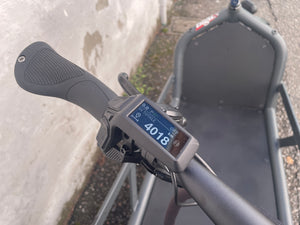 Riese & Müller Load4 - 75 Touring Hs