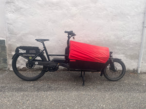 Riese & Müller Packster 60