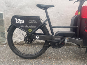 Riese & Müller Packster 60