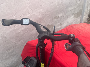 Riese & Müller Packster 60
